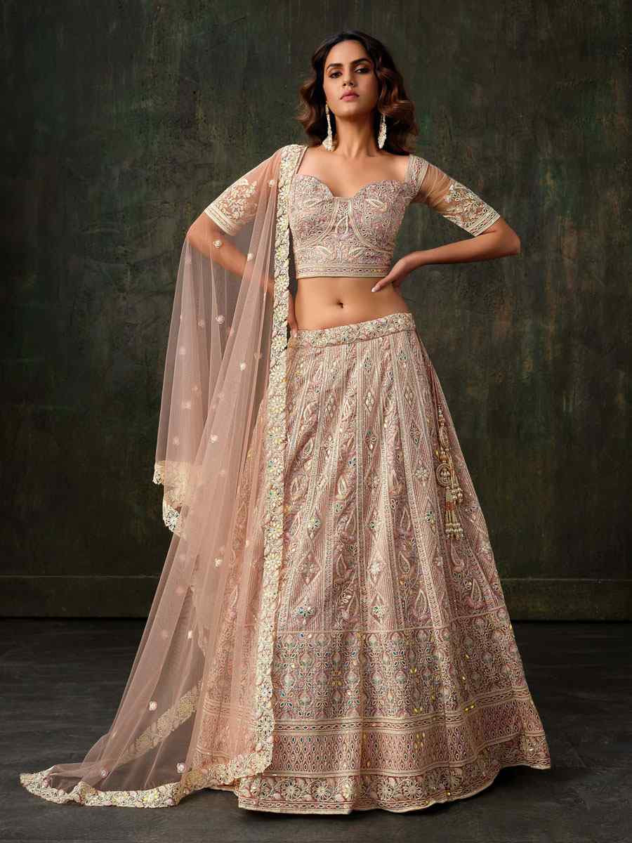 Light Brown Heavy Net With Banglory Silk Inner Embroidered Printed Wedding Reception Festival Heavy Border Lehenga Choli