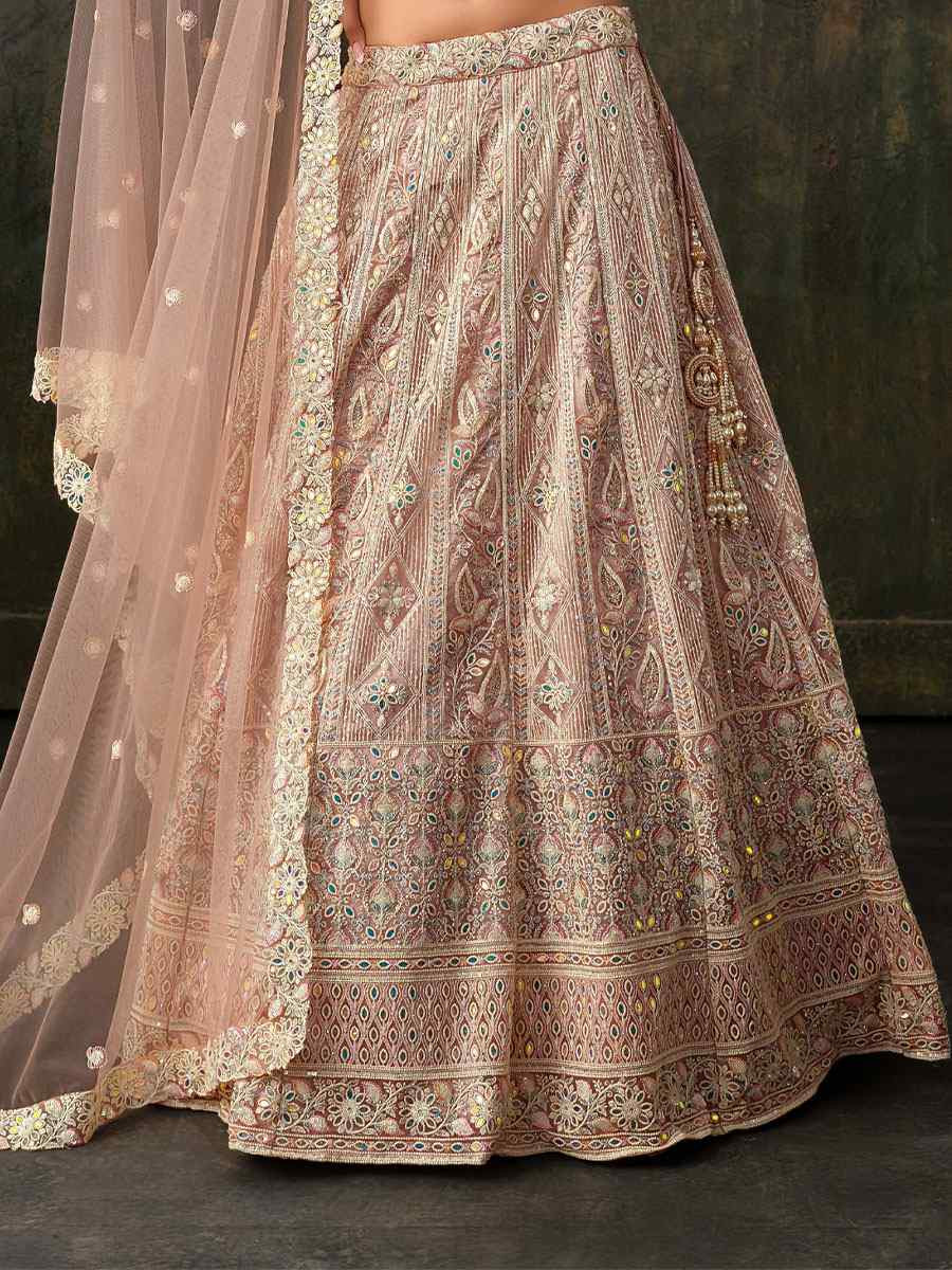 Light Brown Heavy Net With Banglory Silk Inner Embroidered Printed Wedding Reception Festival Heavy Border Lehenga Choli