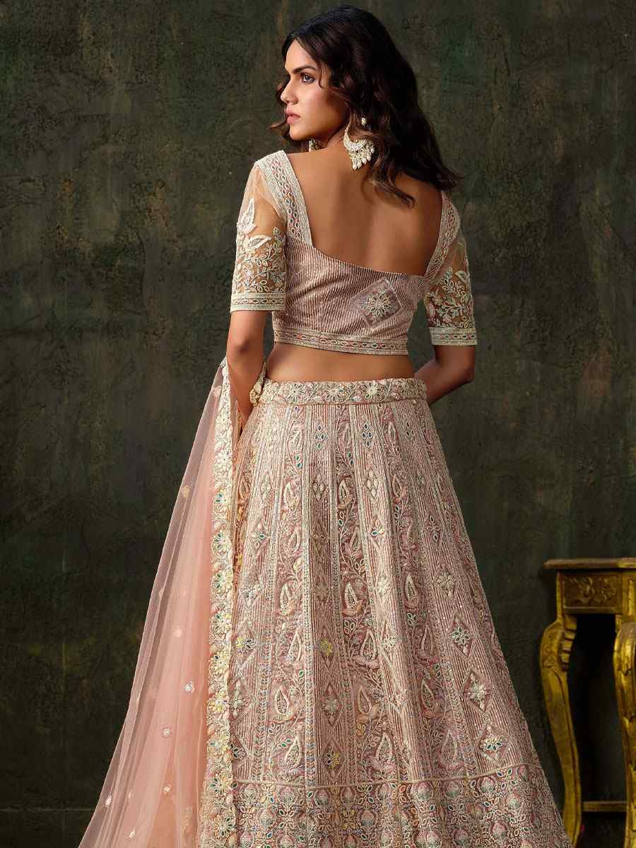 Light Brown Heavy Net With Banglory Silk Inner Embroidered Printed Wedding Reception Festival Heavy Border Lehenga Choli