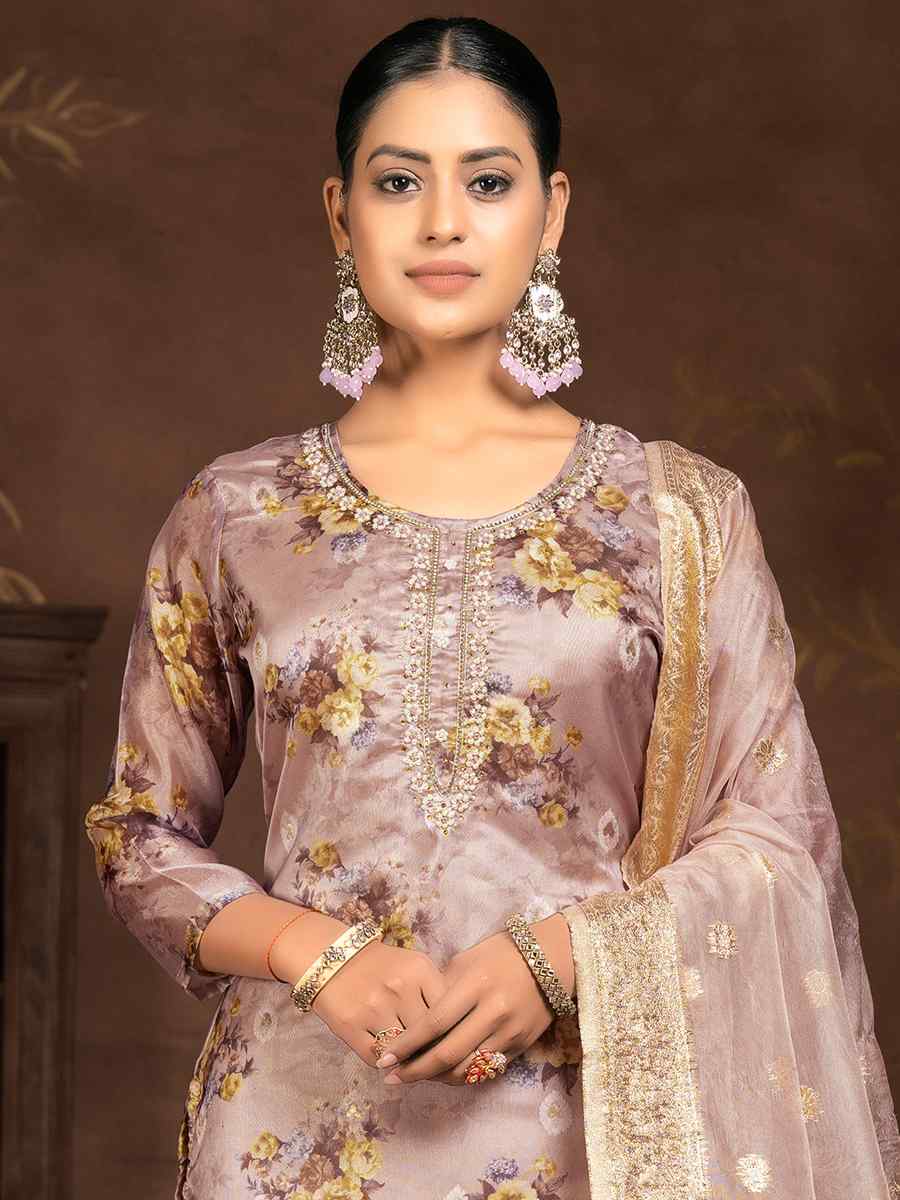 Light Brown Organza Embroidered Casual Festival Pant Salwar Kameez