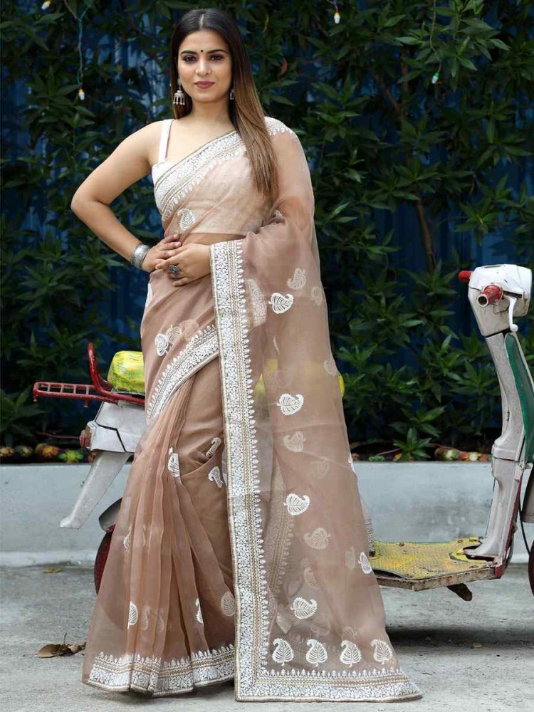 Light Brown Organza Embroidered Reception Party Heavy Border Saree