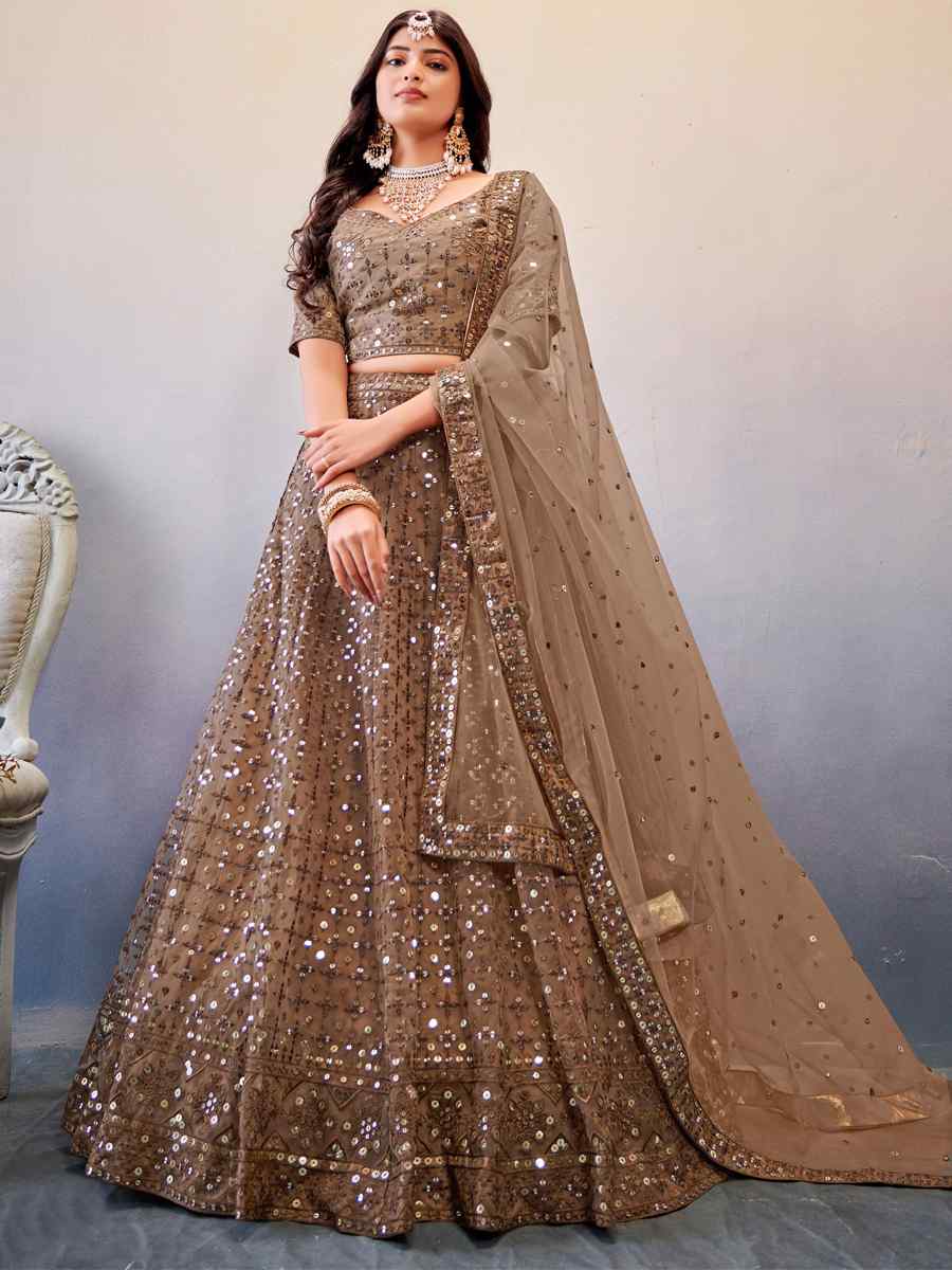 Light Brown Premium Butterfly Net Embroidered Festival Wedding Heavy Border Lehenga Choli