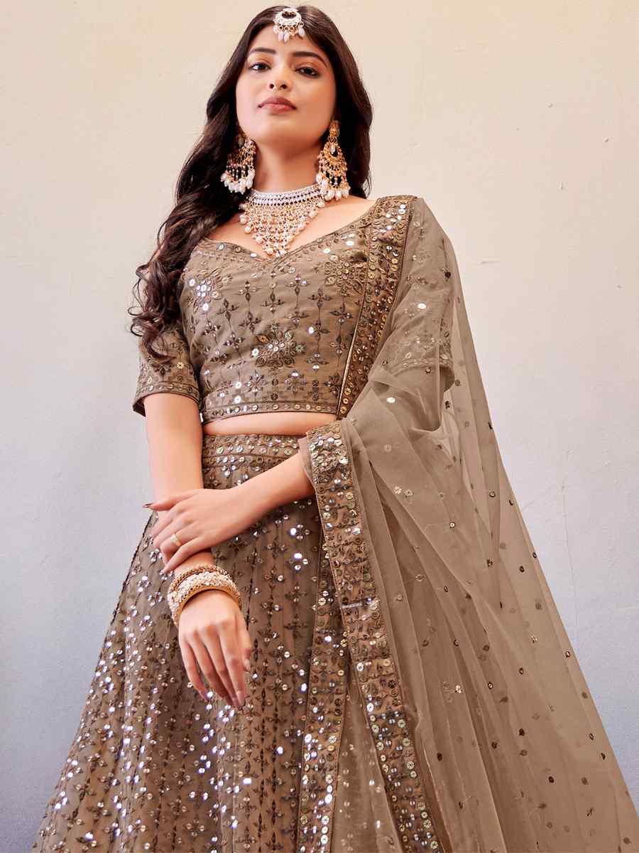 Light Brown Premium Butterfly Net Embroidered Festival Wedding Heavy Border Lehenga Choli