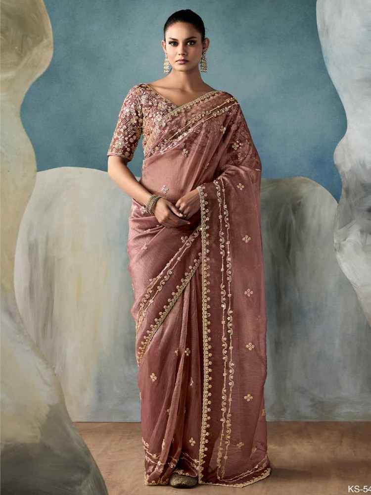 Light Brown Tissue Silk Embroidered Festival Wedding Fancy Heavy Border Saree