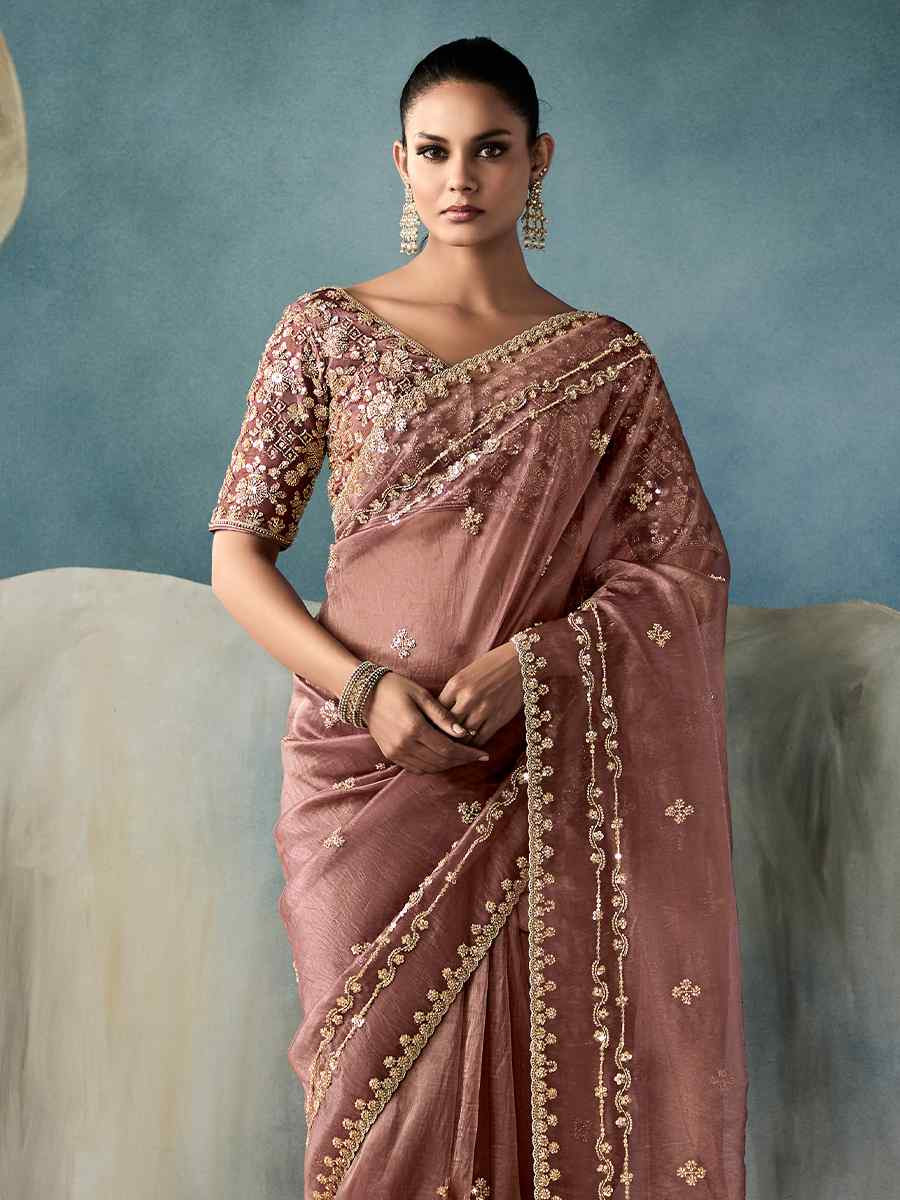 Light Brown Tissue Silk Embroidered Festival Wedding Fancy Heavy Border Saree