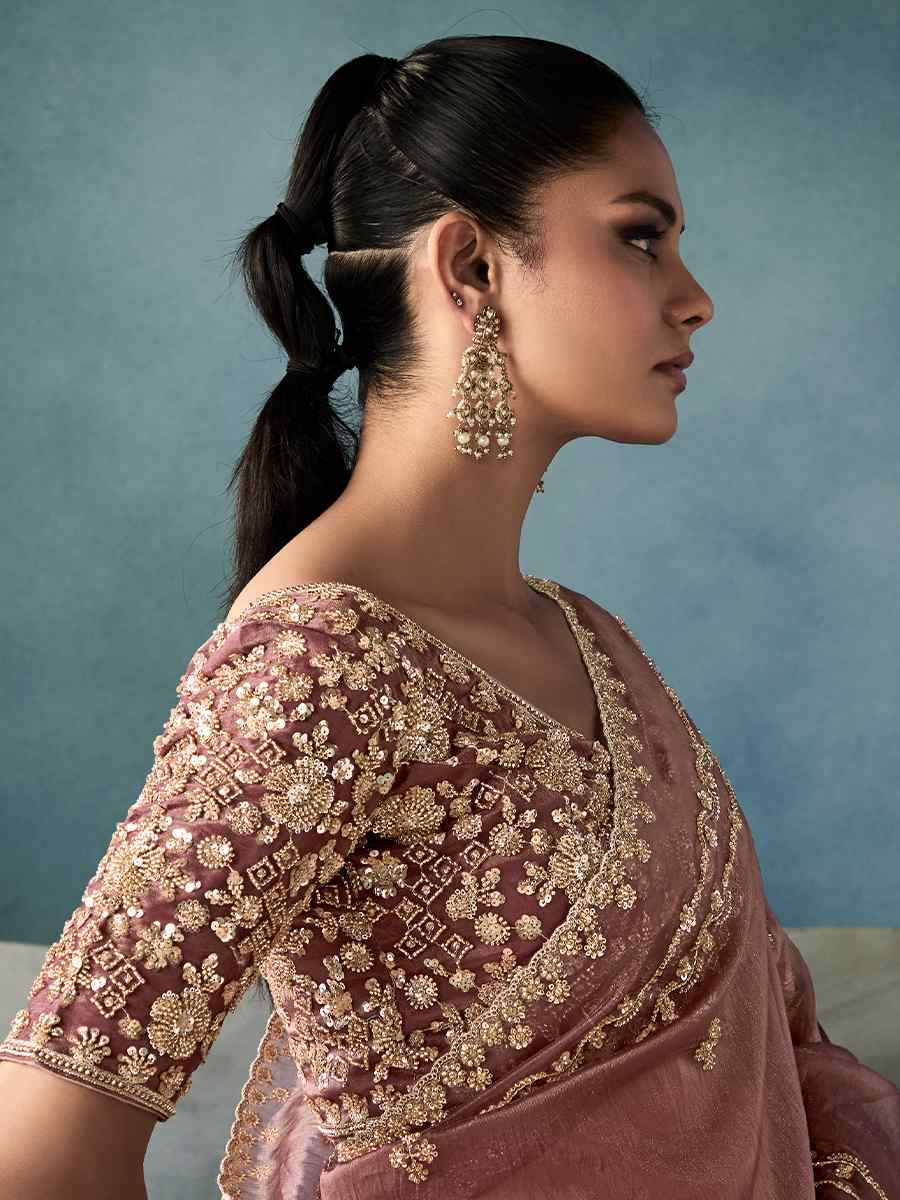 Light Brown Tissue Silk Embroidered Festival Wedding Fancy Heavy Border Saree