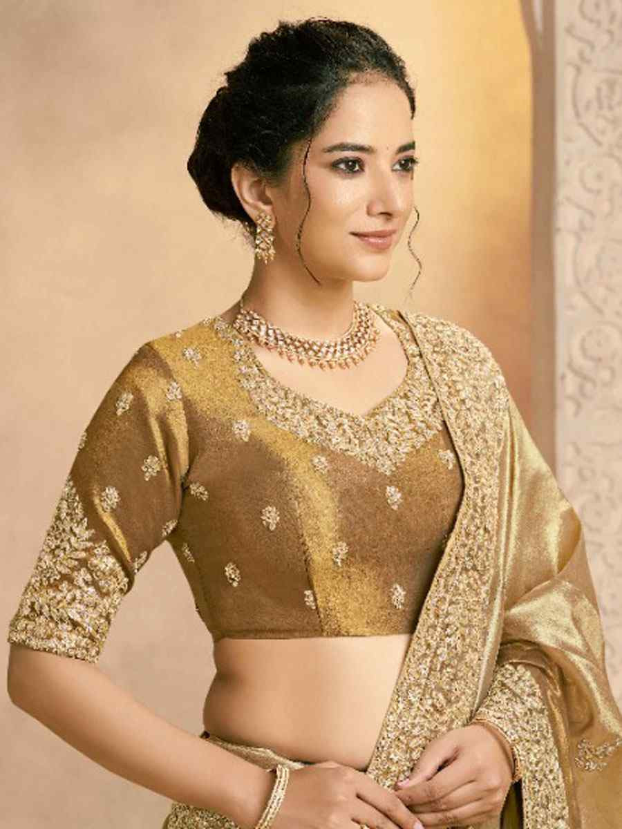 Light Chiku Weaved Zari Kora Silk Embroidery Bridal Reception Party Festival Wedding Fancy Heavy Border Sarees