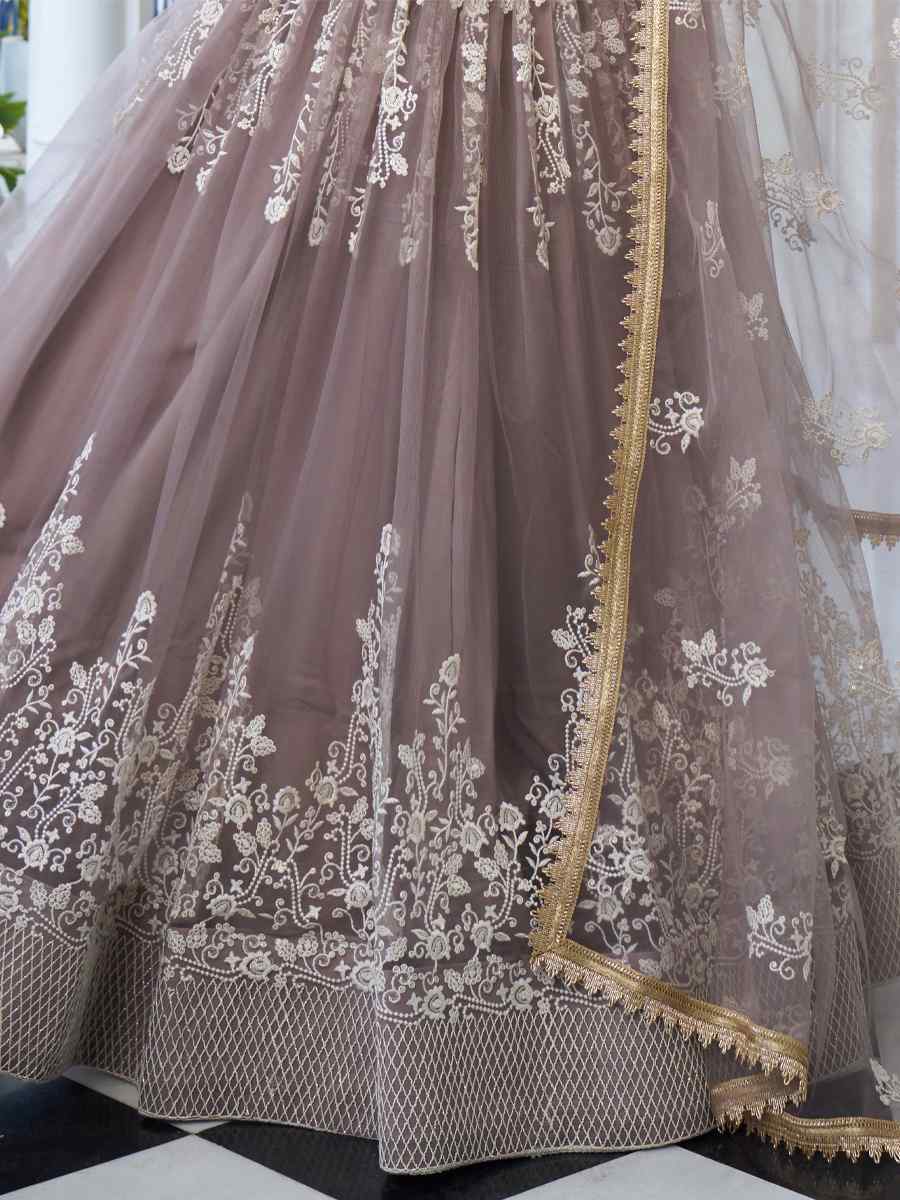Light Dusty Brown Butterfly Net Embroidery Reception Party Wear Heavy Border Lehenga Choli