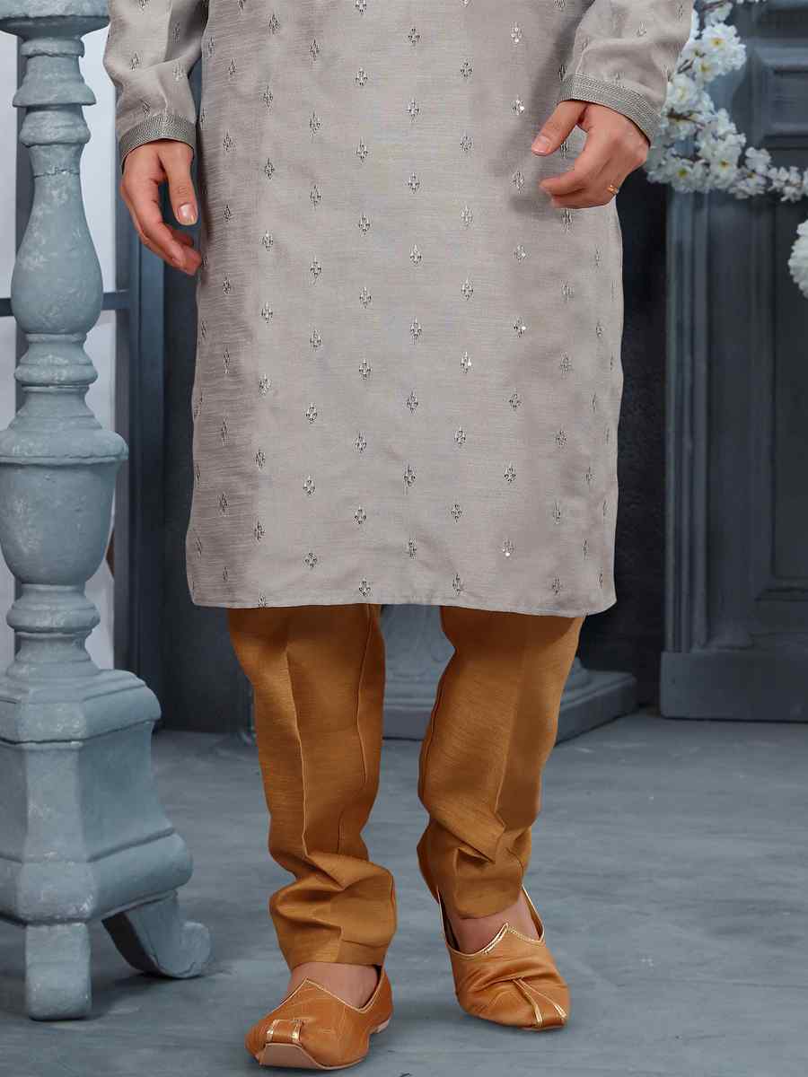 Light Gray Silk Woven Festival Party Kurta