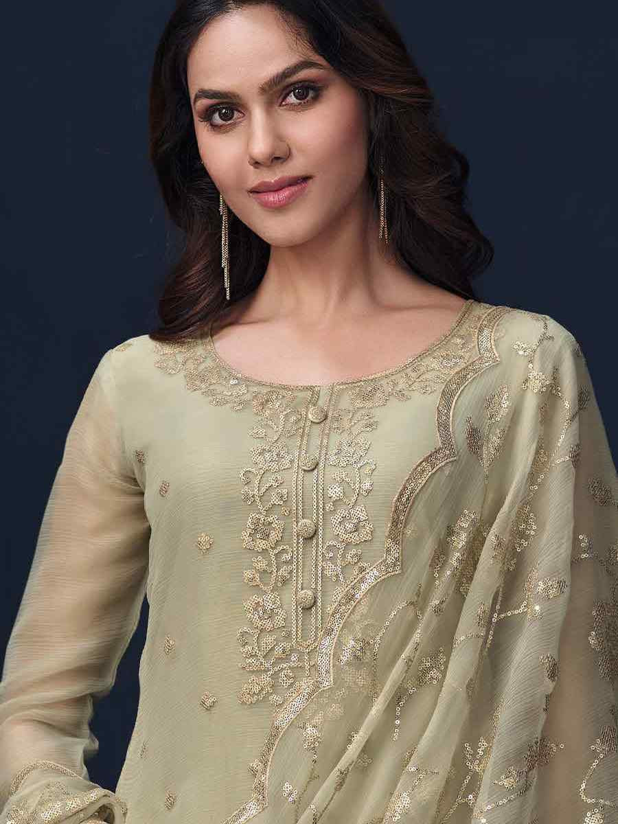 Light Green Chiffon Organza Embroidered Festival Wedding Pant Salwar Kameez