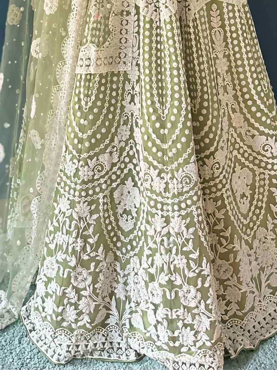 Light Green Net Embroidered Wedding Festival Heavy Border Lehenga Choli