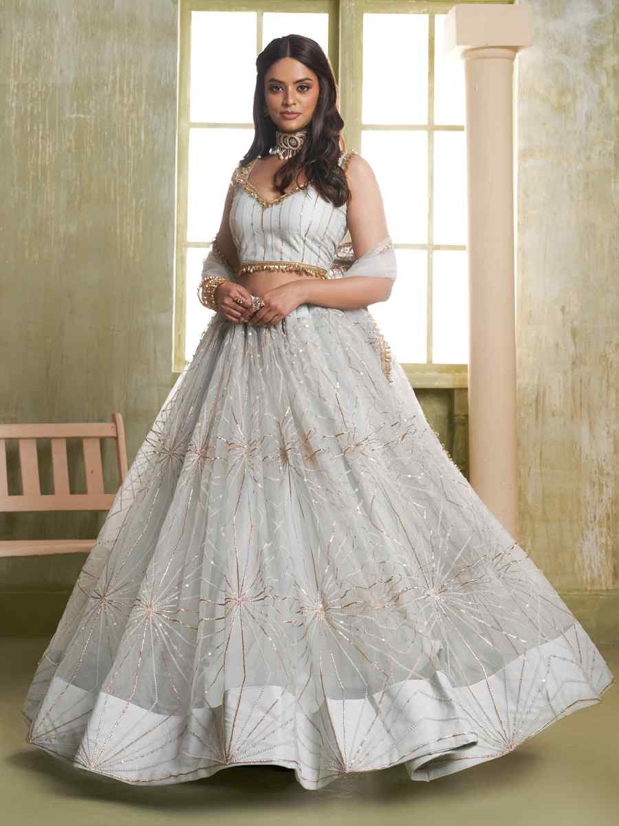 Light Grey Net Embroidered Wedding Reception Festival Heavy Border Lehenga Choli