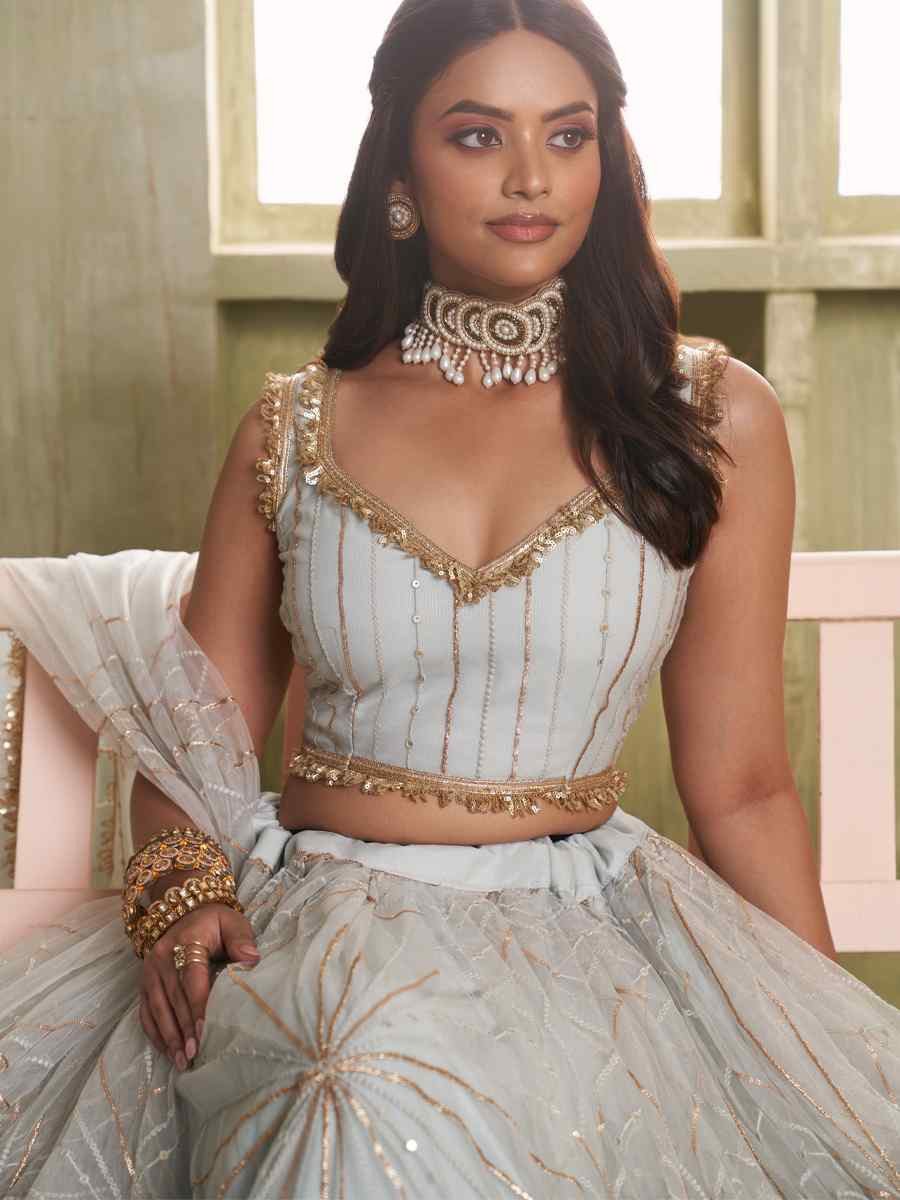 Light Grey Net Embroidered Wedding Reception Festival Heavy Border Lehenga Choli