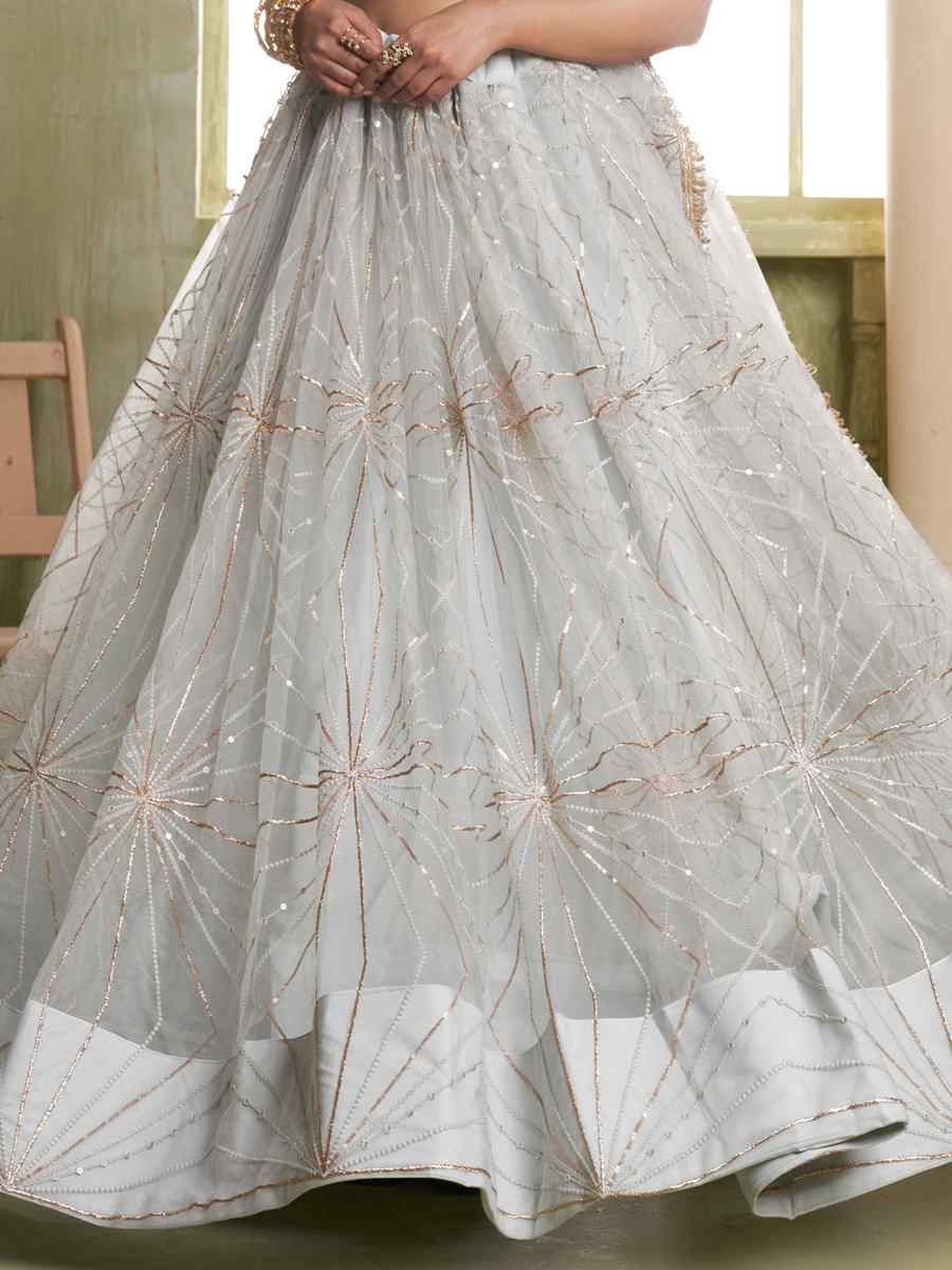 Light Grey Net Embroidered Wedding Reception Festival Heavy Border Lehenga Choli