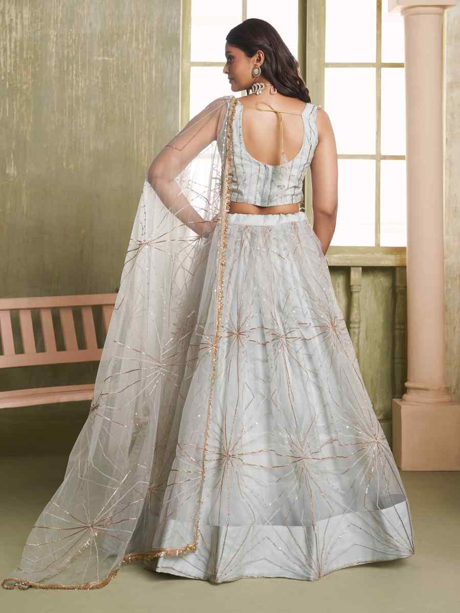 Light Grey Net Embroidered Wedding Reception Festival Heavy Border Lehenga Choli