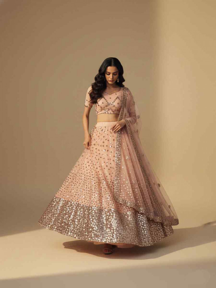 Image of Light Peach Pink Soft Net Embroidered Wedding Reception Festival Heavy Border Lehenga Choli