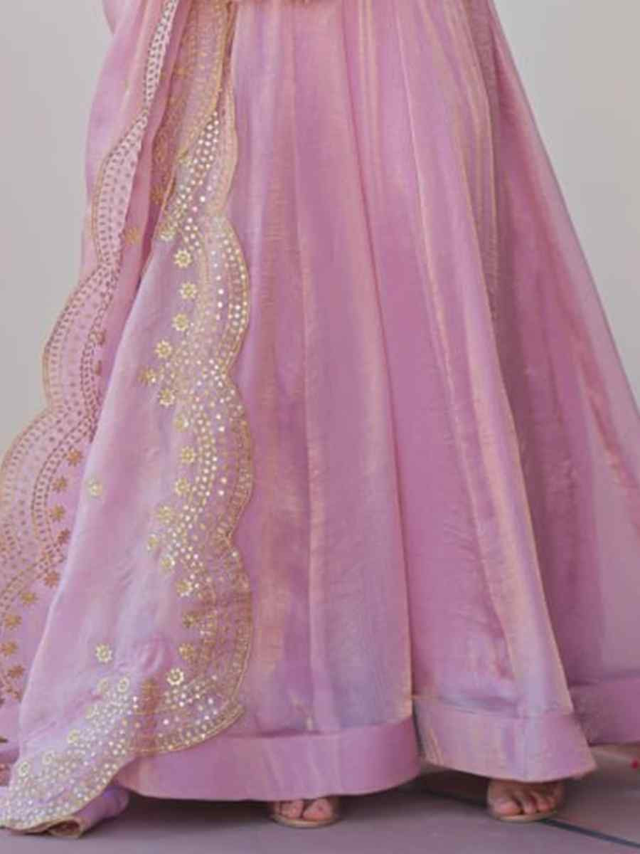 Light Pink Fendy Chiffon Embroidered Festival Party Gown