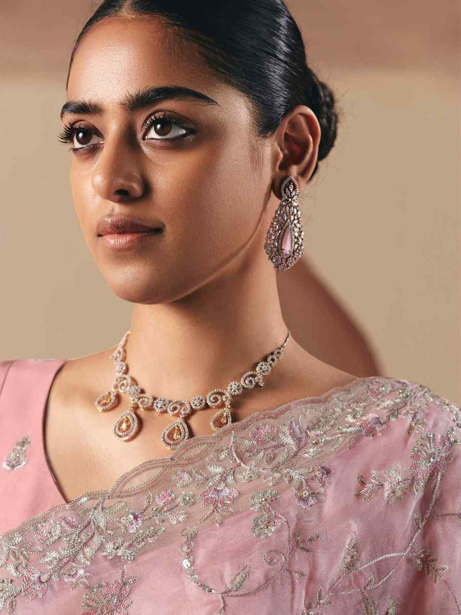 Light Pink Organza Embroidery Zari Bridal Reception Festival Wedding Fancy Heavy Border Saree