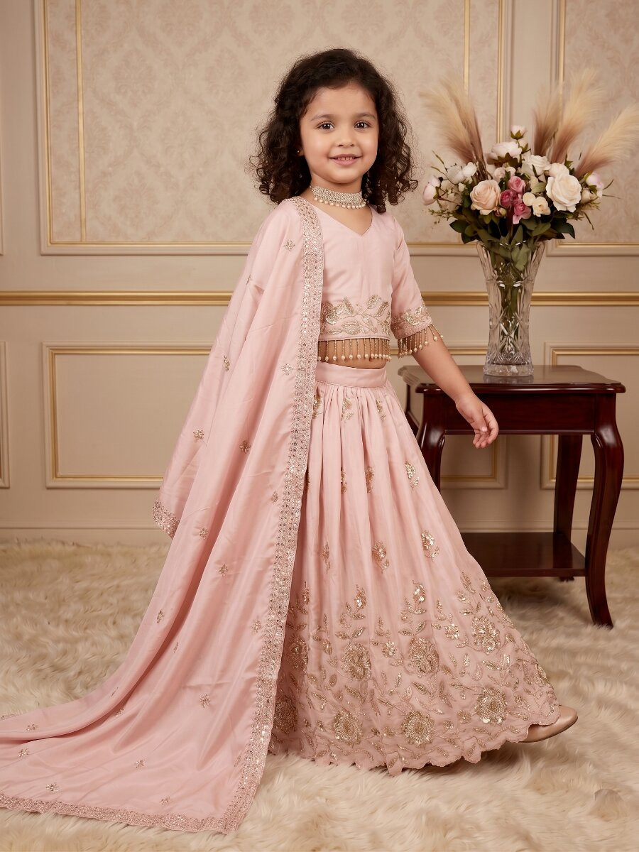 Light Pink Pure Heavy Natural Crep Embroidered Sequins Ethnic Casual Festival Party Wedding Lehengas Girls Wear
