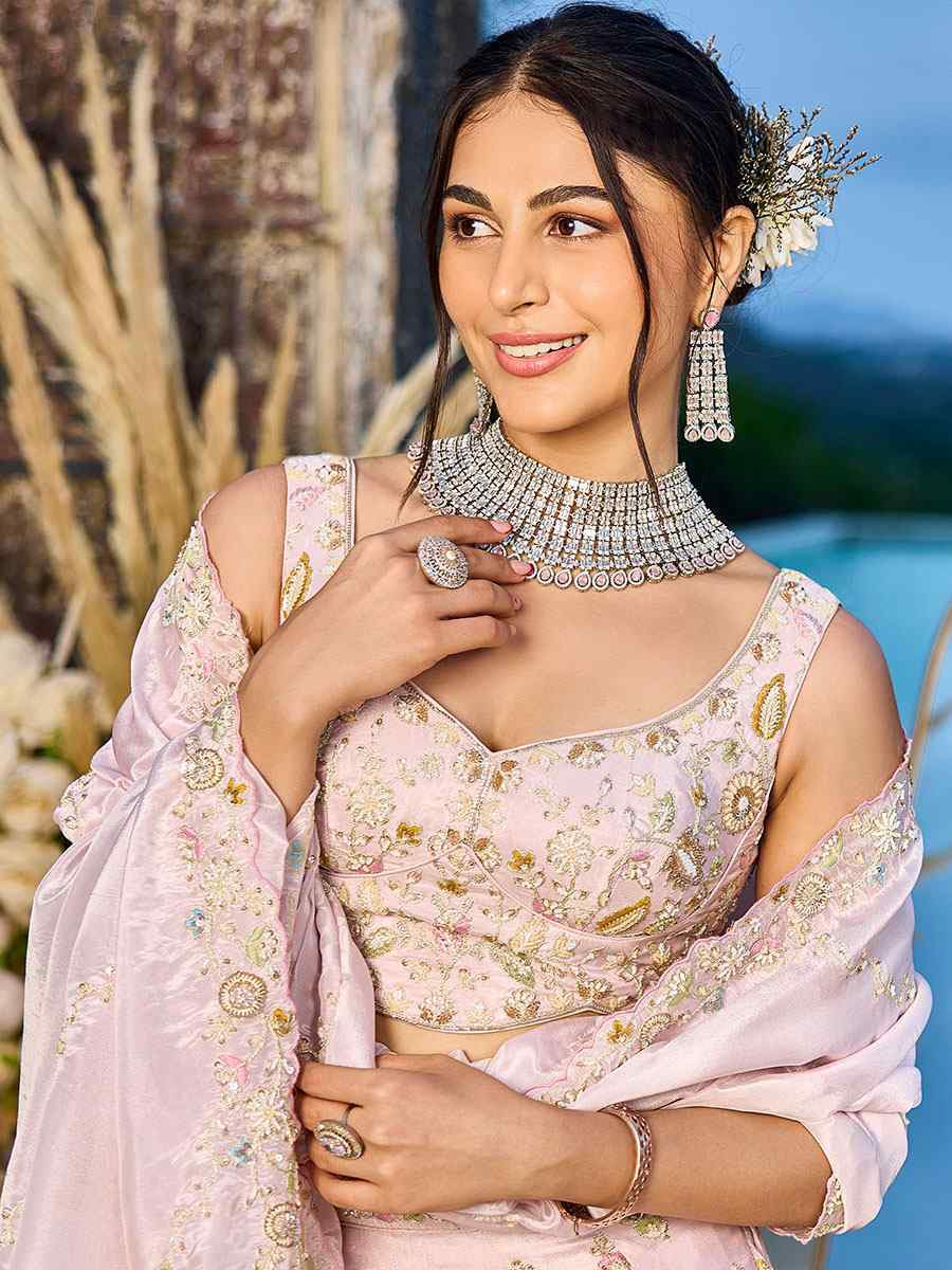 Light Pink Tissue Embroidered Wedding Reception Festival Heavy Border Lehenga Choli