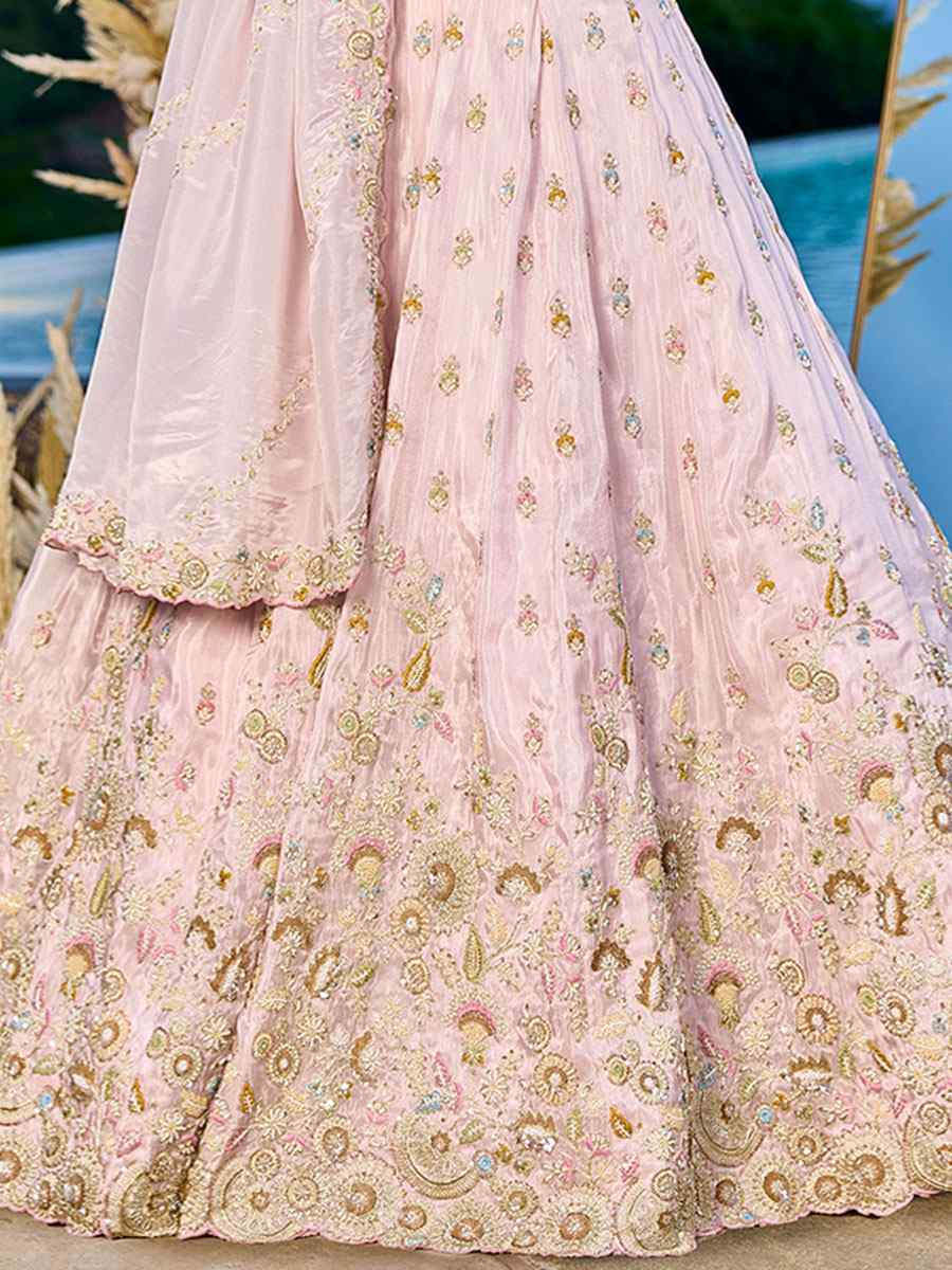 Light Pink Tissue Embroidered Wedding Reception Festival Heavy Border Lehenga Choli