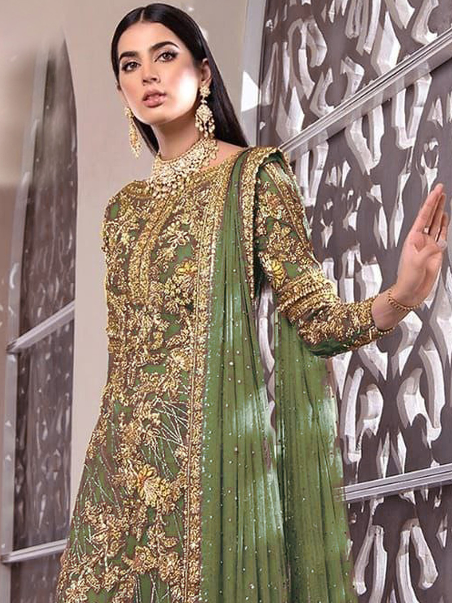 Light Pista Net Embroidered Festival Party Pant Salwar Kameez