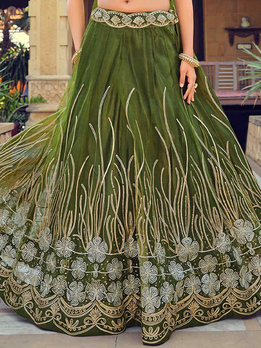 Mahendi Net Embroidered Wedding Reception Festival Heavy Border Lehenga Choli