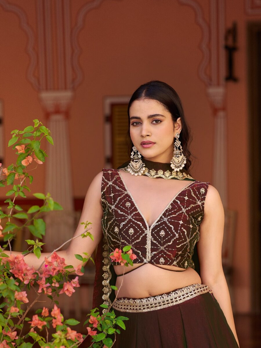 Marron Fendi Embroidery Zari Wedding Reception Party Festival Circular Lehenga Choli