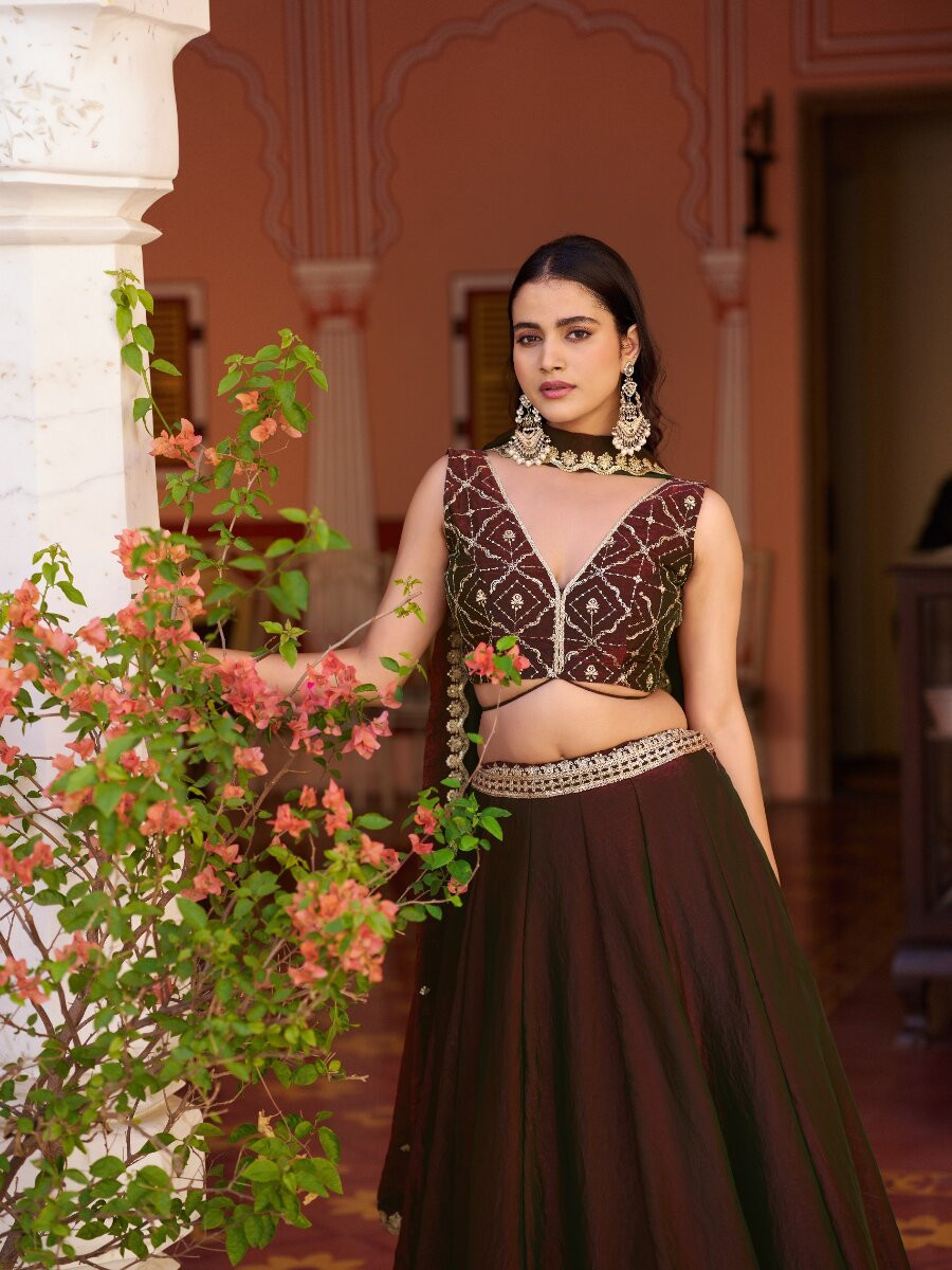 Marron Fendi Embroidery Zari Wedding Reception Party Festival Circular Lehenga Choli