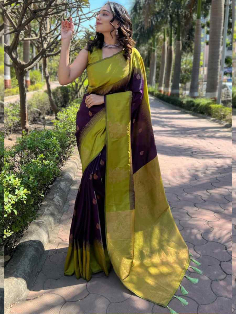 Multi Banarasi Soft Silk Handwoven Festival Casual Heavy Border Saree