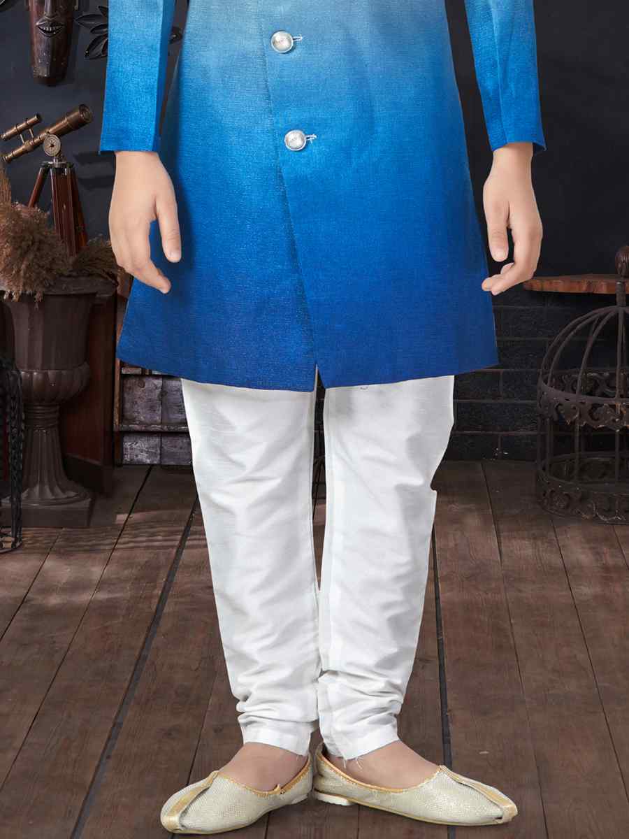 Multi Champion Silk Printed Traditional Party Kurta