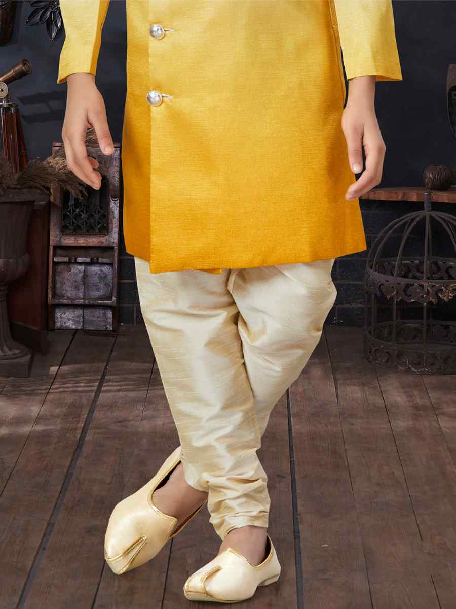 Multi Champion Silk Printed Traditional Party Kurta