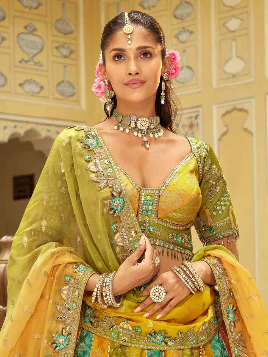 Multi Colour Heavy Pure Silk Embroidered Wedding Reception Festival Heavy Border Lehenga Choli