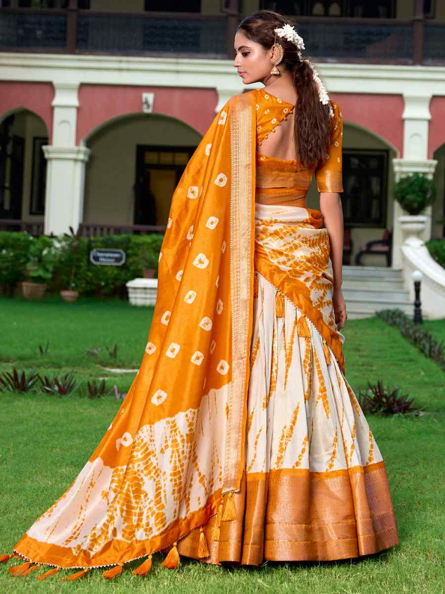 Multi Dola Silk Printed And Hand Embroidered Party Reception Wedding Lehenga Choli
