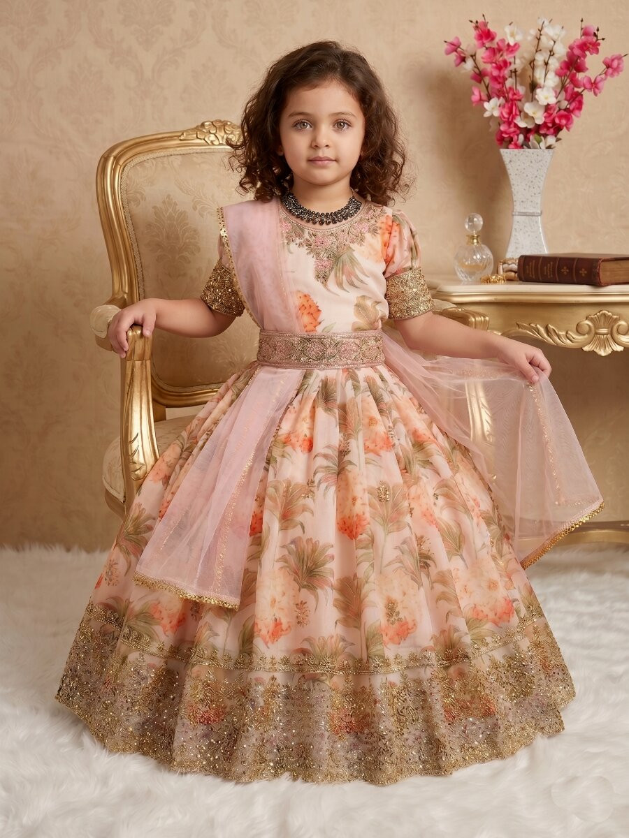 Multi Heavy Fox Georgette Printed Embroidered Sequins Ethnic Casual Festival Party Wedding Gown