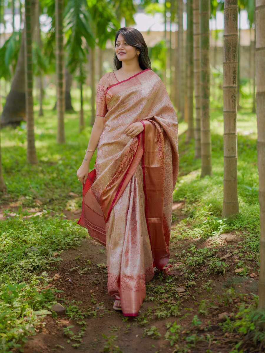 Multi Kanchipuram Silk Zari Weaving Wedding Reception Party Festival Casual Heavy Border Sarees