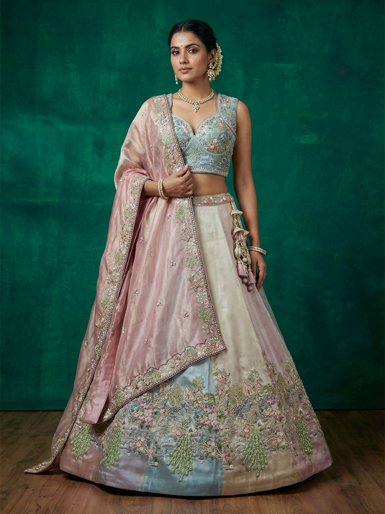 Image of Multi Organza Embroidery Zari Sequins Wedding Reception Party Wear Festival Heavy Border Lehenga Choli