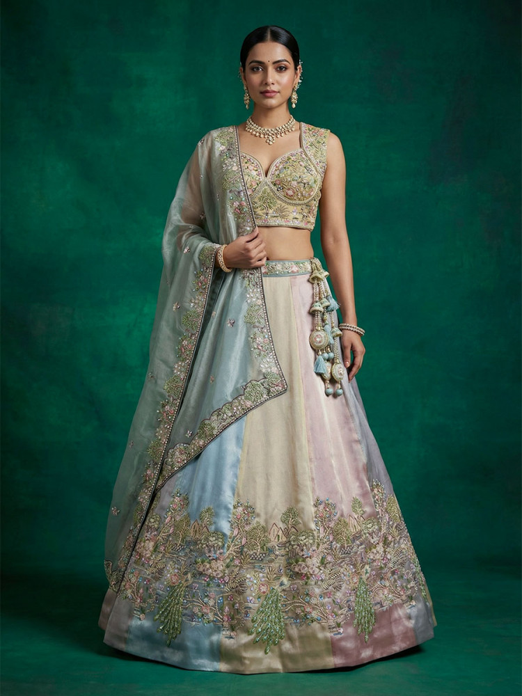 Image of Multi Organza Embroidery Zari Sequins Wedding Reception Party Wear Festival Heavy Border Lehenga Choli