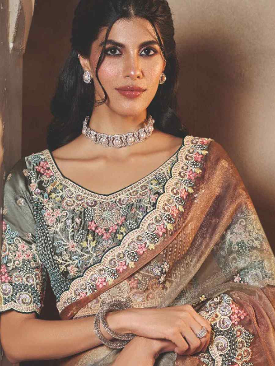 Multi Organza Satin Embroidery Festival Wedding Fancy Heavy Border Saree