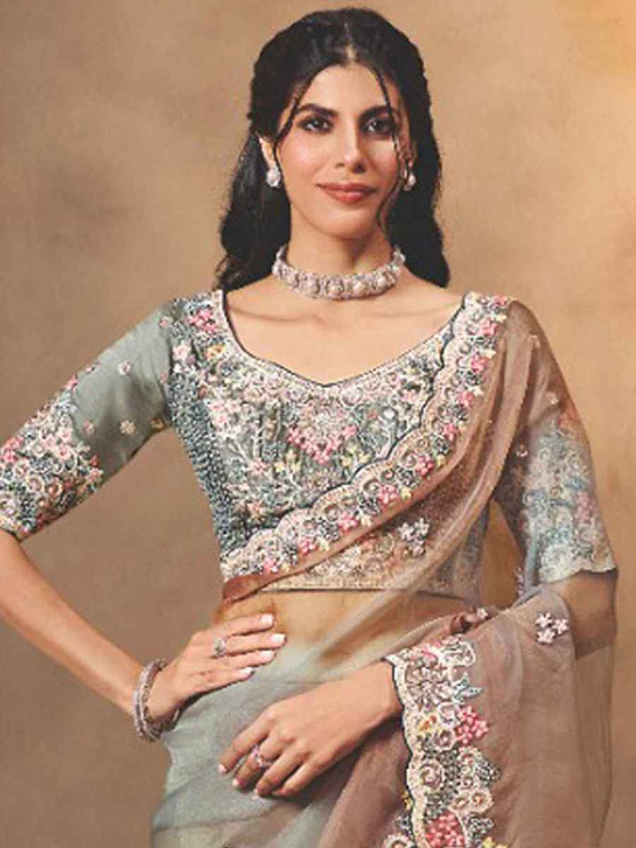 Multi Organza Satin Embroidery Festival Wedding Fancy Heavy Border Saree