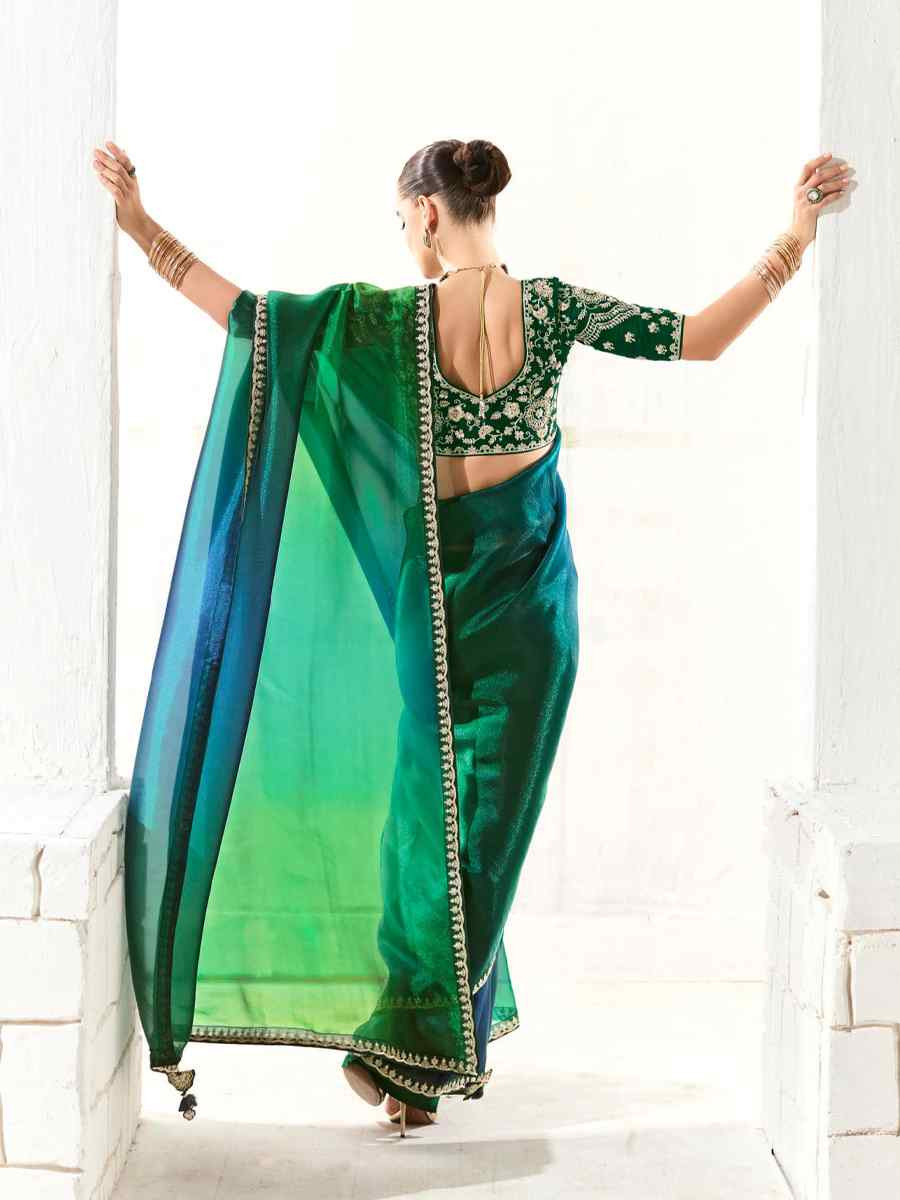 Multi Organza Tissue Embroidered Festival Wedding Fancy Heavy Border Saree