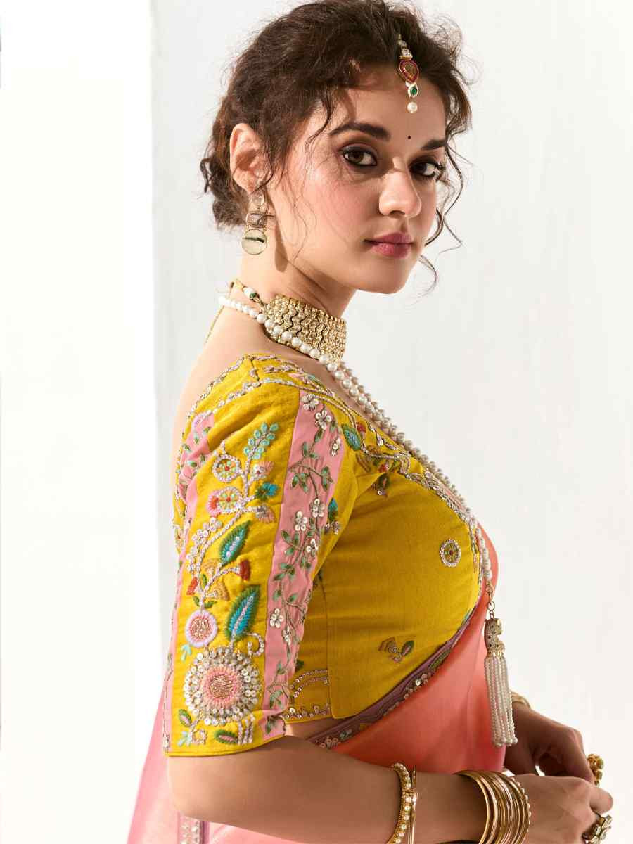 Multi Organza Tissue Embroidered Festival Wedding Fancy Heavy Border Saree
