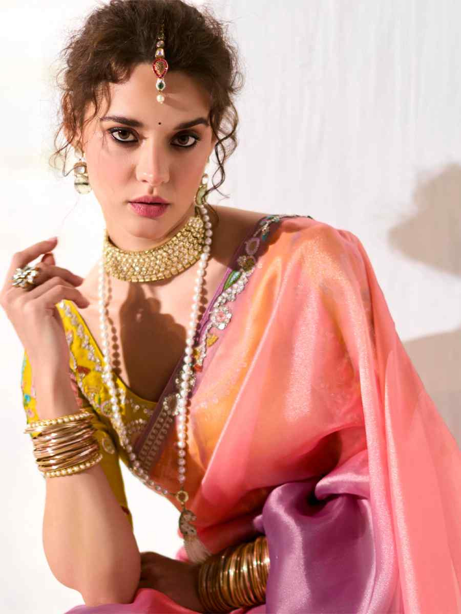 Multi Organza Tissue Embroidered Festival Wedding Fancy Heavy Border Saree