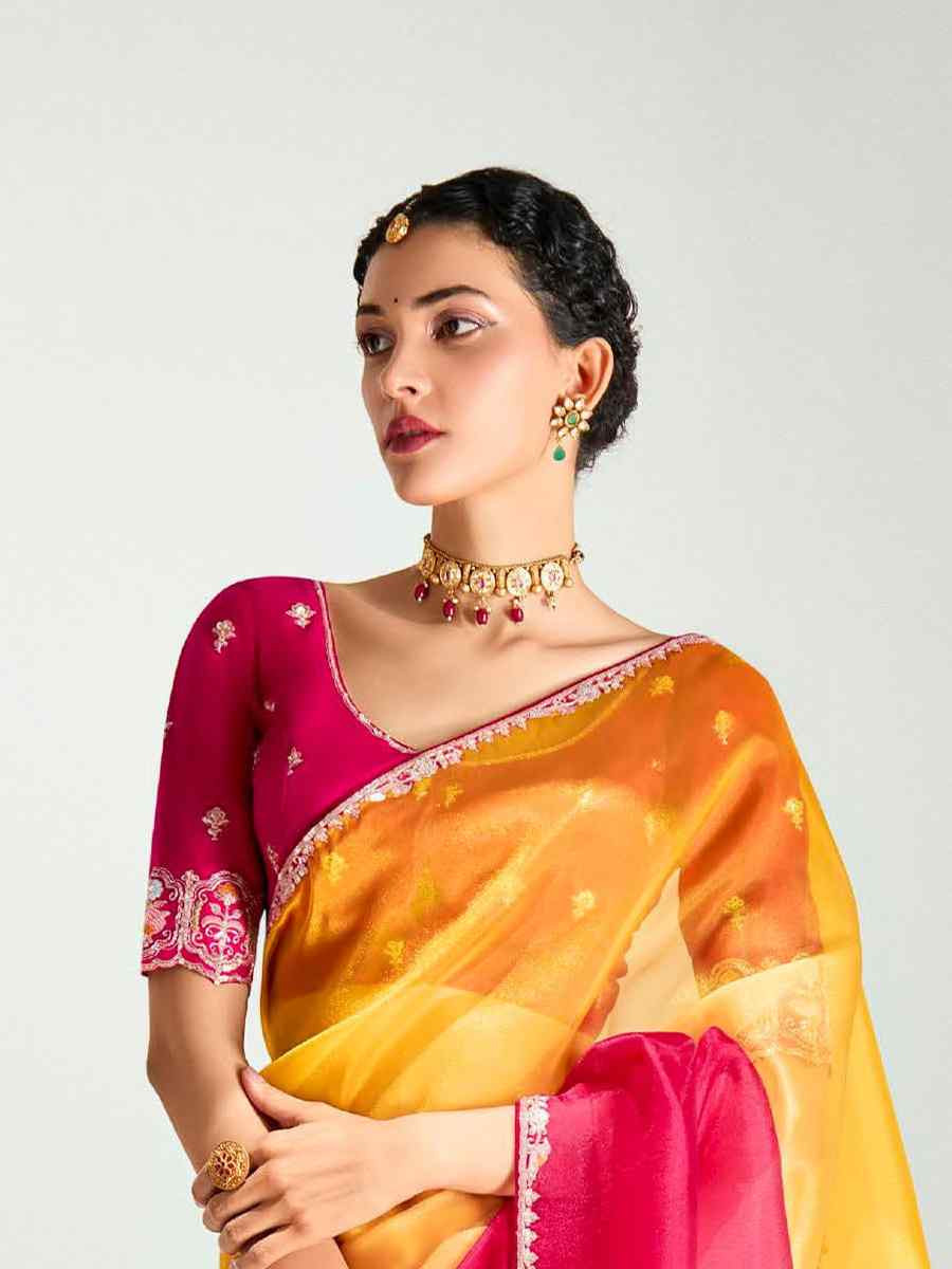 Multi Organza Tissue Embroidered Festival Wedding Fancy Heavy Border Saree