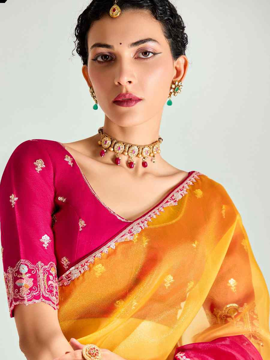 Multi Organza Tissue Embroidered Festival Wedding Fancy Heavy Border Saree