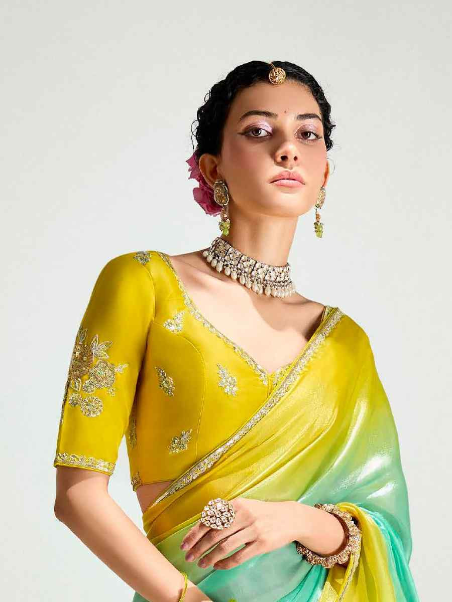 Multi Organza Tissue Embroidered Festival Wedding Fancy Heavy Border Saree