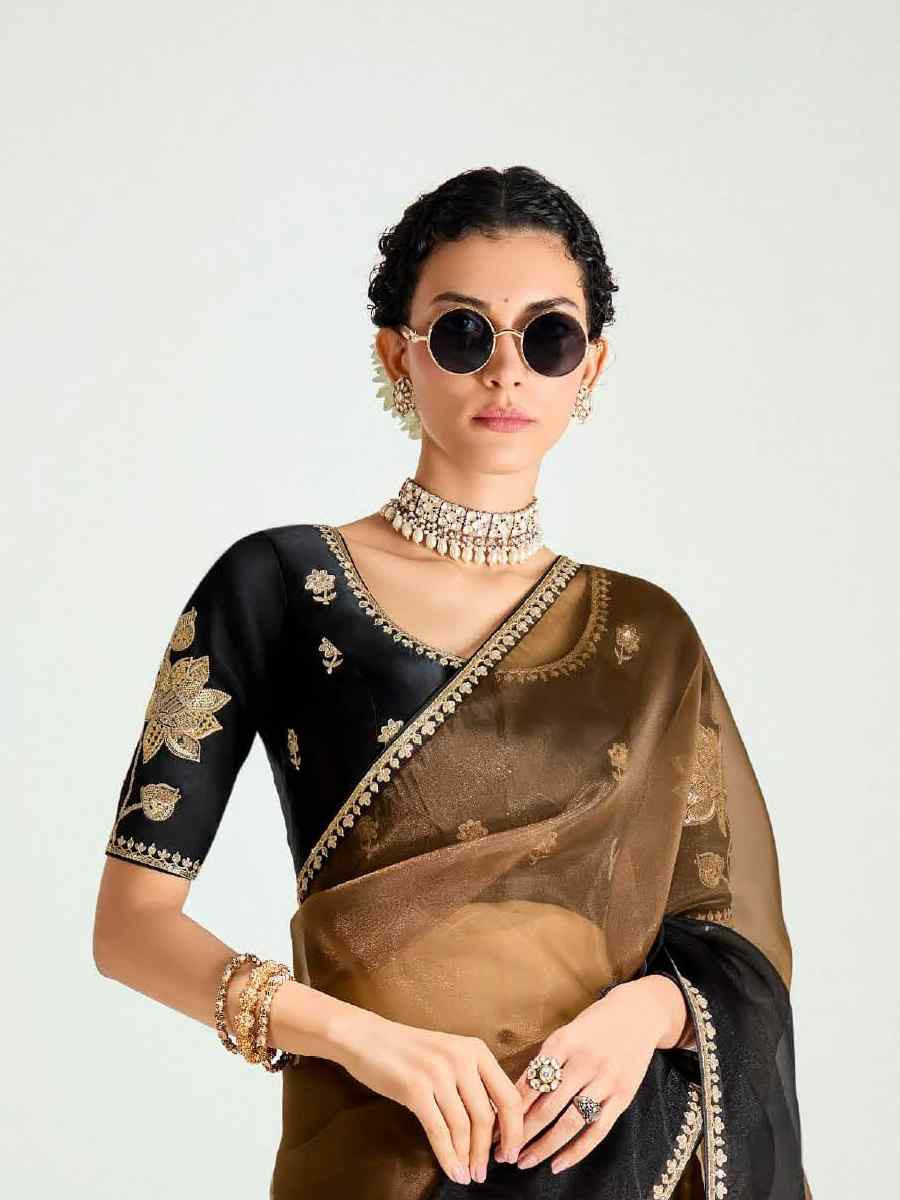 Multi Organza Tissue Embroidered Festival Wedding Fancy Heavy Border Saree