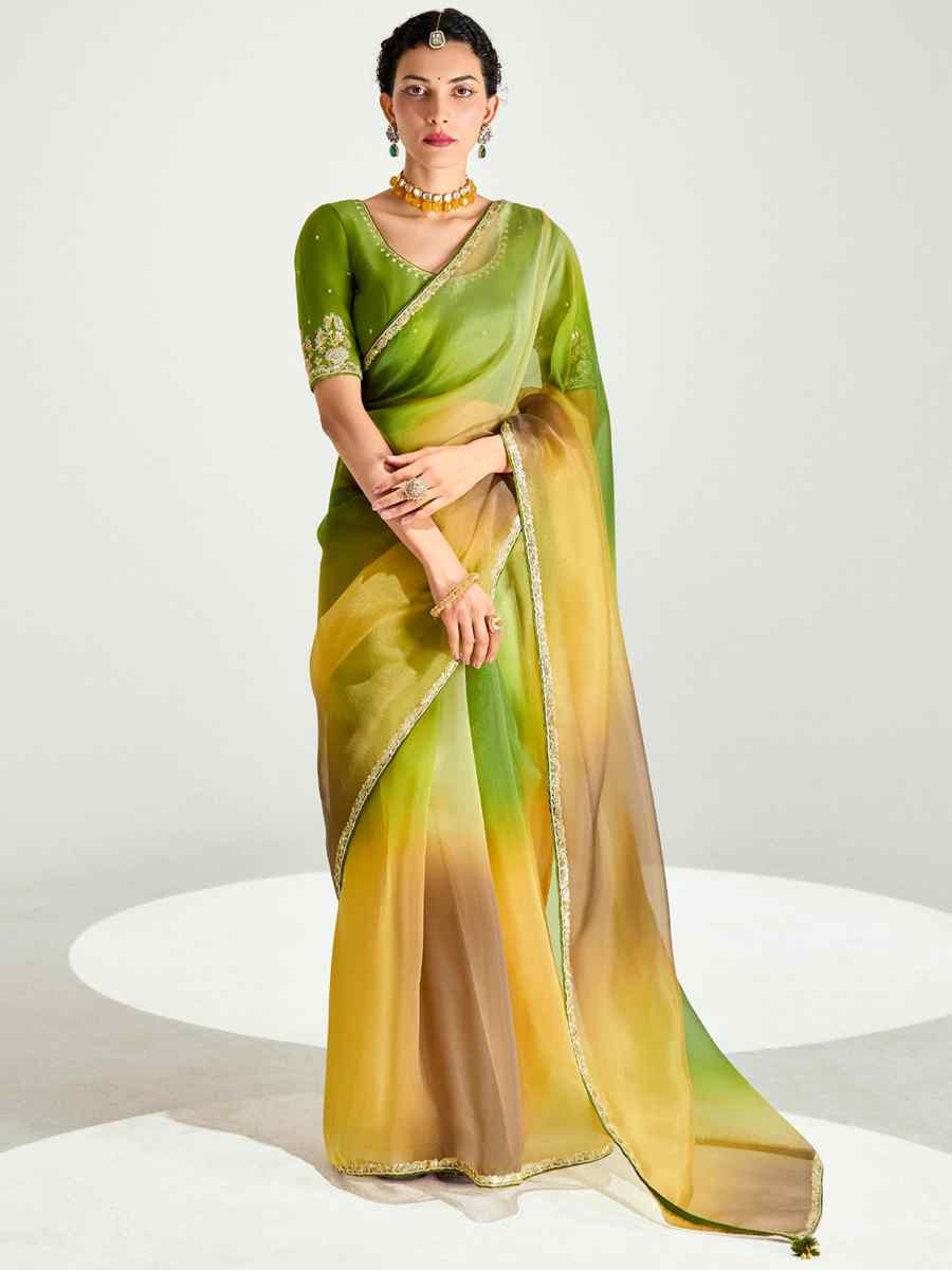 Multi Organza Tissue Embroidered Festival Wedding Fancy Heavy Border Saree
