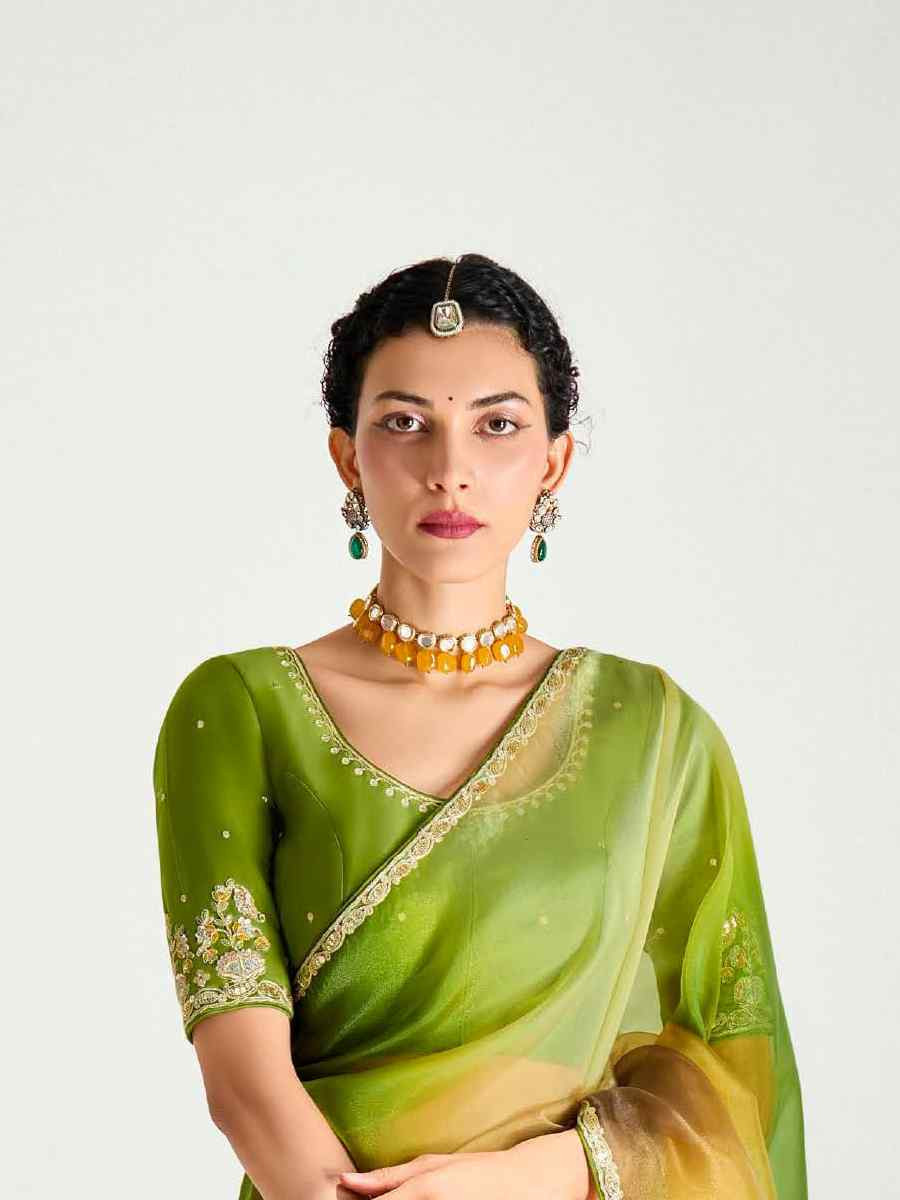 Multi Organza Tissue Embroidered Festival Wedding Fancy Heavy Border Saree