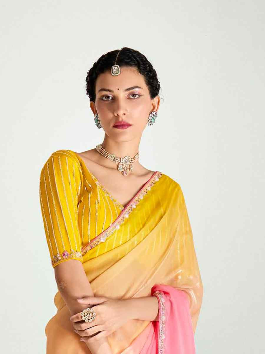 Multi Organza Tissue Embroidered Festival Wedding Fancy Heavy Border Saree